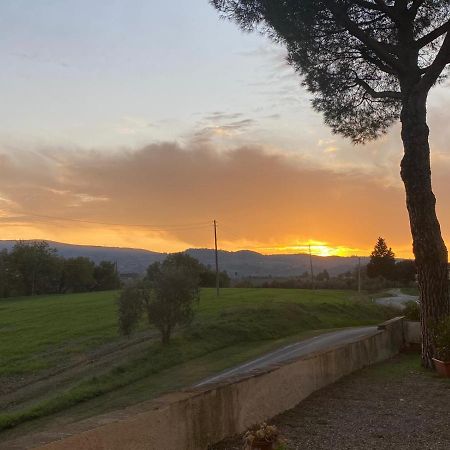 Tognazzi Casa Vacanze - La Collina Di סן ג'ימיניאנו מראה חיצוני תמונה