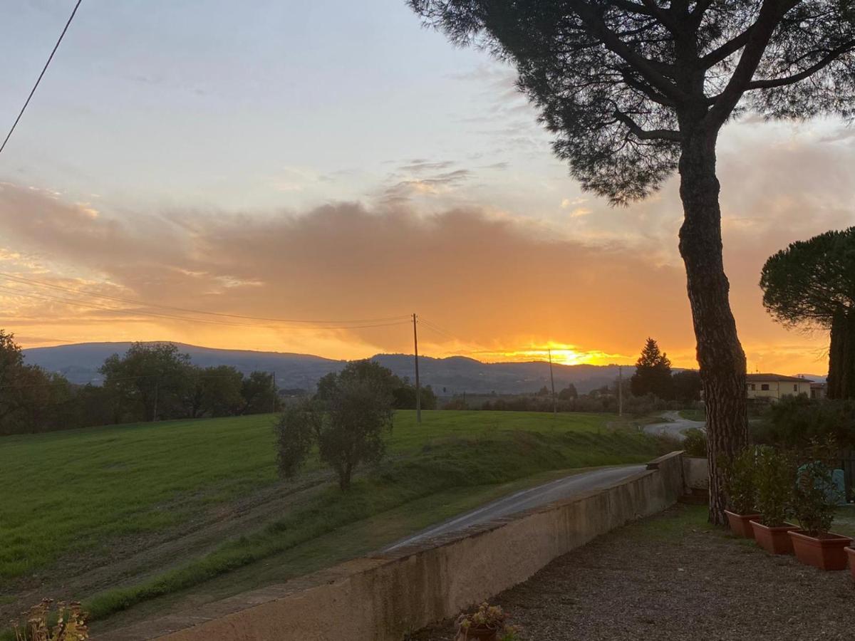 Tognazzi Casa Vacanze - La Collina Di סן ג'ימיניאנו מראה חיצוני תמונה